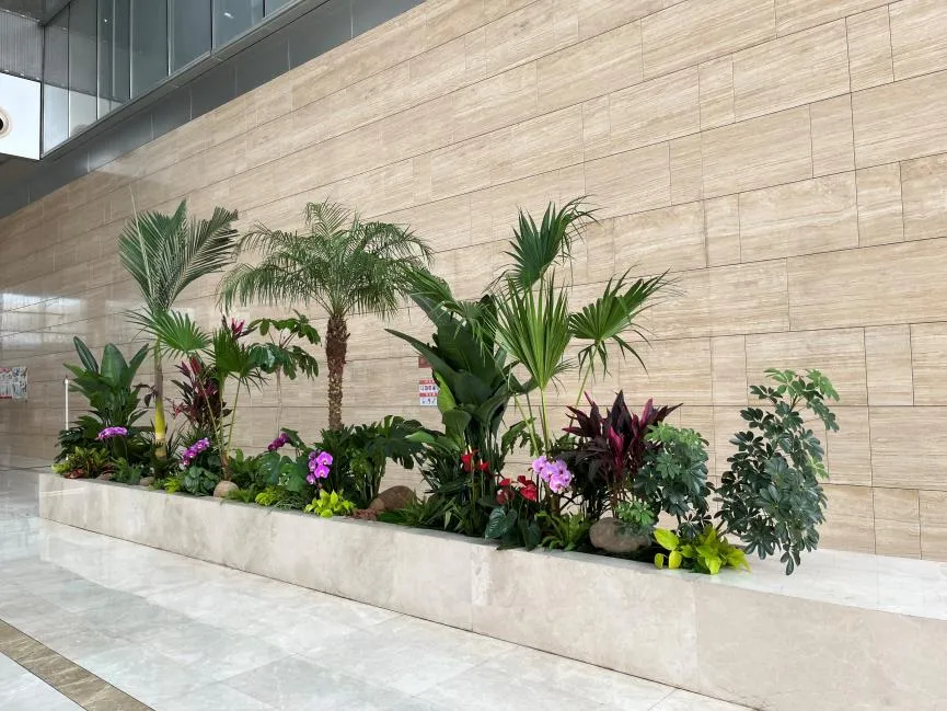 前湾专业绿植出租，开启室内绿色生态之旅